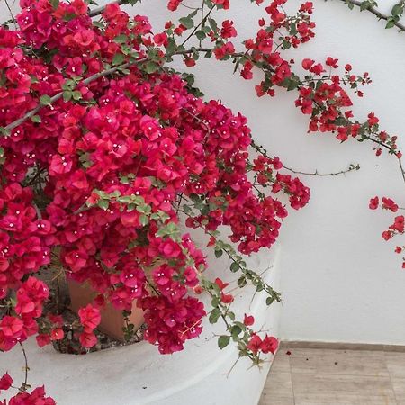 Depis Apartments & Suites Naxos City エクステリア 写真