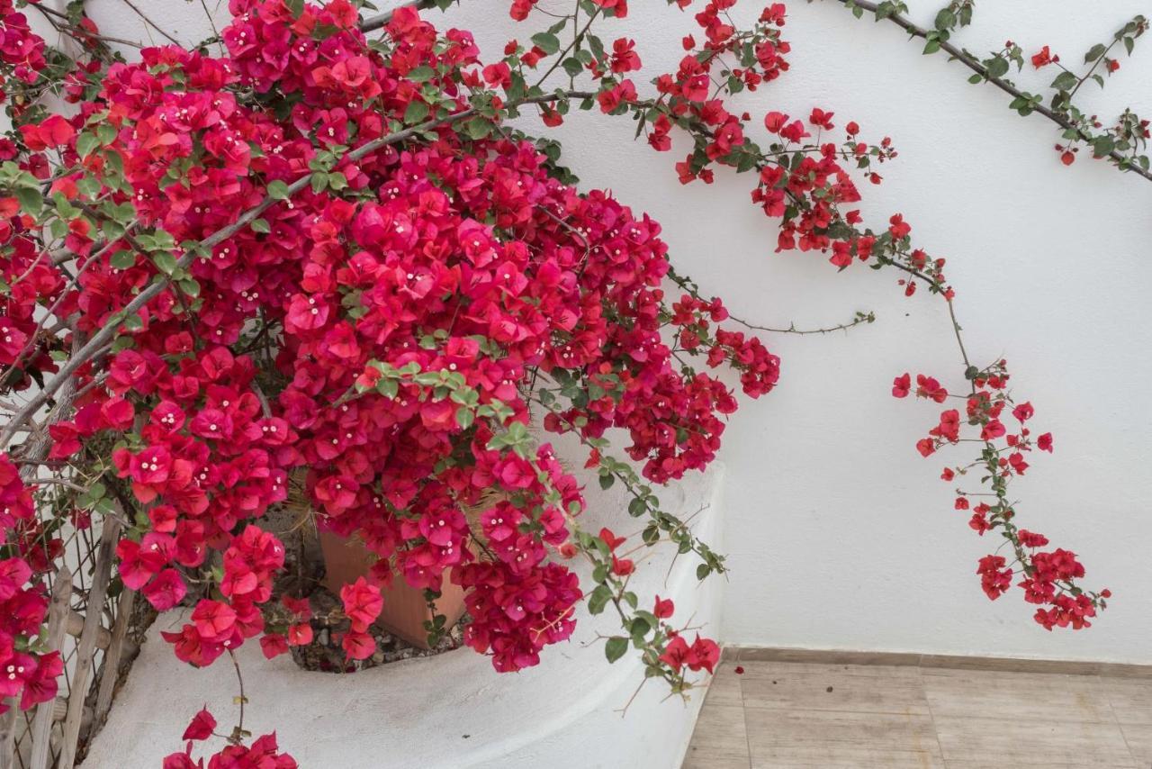 Depis Apartments & Suites Naxos City エクステリア 写真